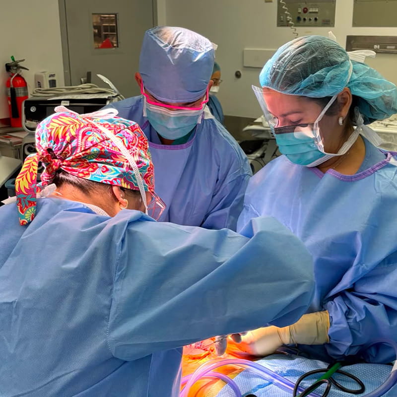Dr. Lismaris During Bariatric Surgery